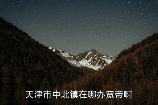 天津市中順津寶車務，天津市中順津寶汽車服務有限公司是國企還是私企