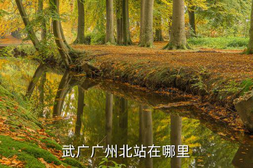 武廣廣州北站在哪里