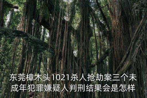 東莞樟木頭1021殺人搶劫案三個(gè)未成年犯罪嫌疑人判刑結(jié)果會(huì)是怎樣