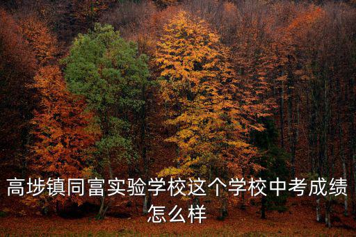 高埗鎮同富實驗學校這個學校中考成績怎么樣