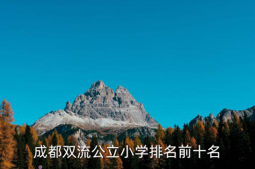 成都雙流公立小學(xué)排名前十名