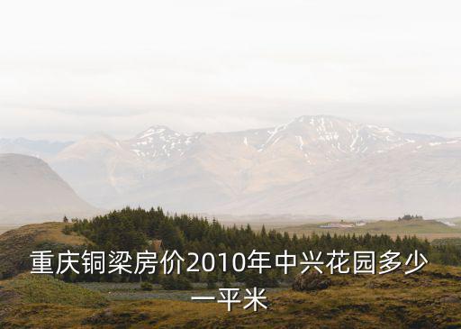 重慶市銅梁區蒲呂街二手房，重慶銅梁房價2010年中興花園多少一平米