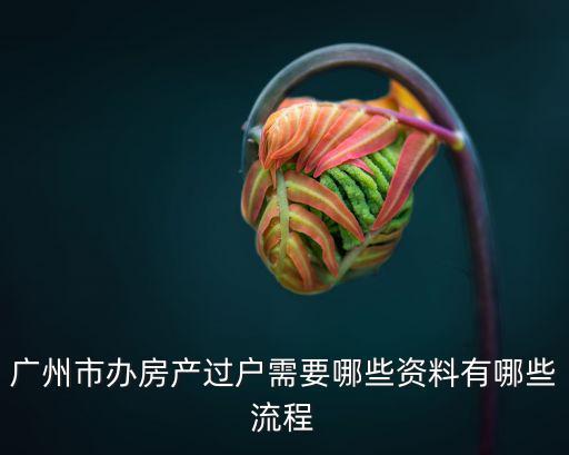 廣州過戶新政策，廣州粵A車牌過戶政策