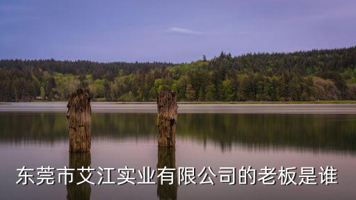 東莞市艾江實(shí)業(yè)有限公司的老板是誰(shuí)