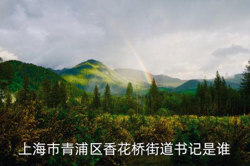 上海市青浦區香花橋街道書記是誰