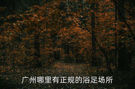 廣州哪里有正規(guī)的浴足場所