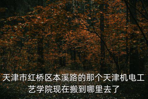 天津市紅橋區本溪路的那個天津機電工藝學院現在搬到哪里去了