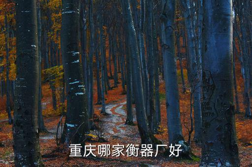 重慶哪家衡器廠好