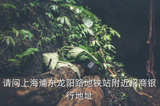 上海市浦東新區基隆路6號，誰能告訴我下外高橋保稅區基隆路6號外高橋大廈13樓這家物流公司的名字
