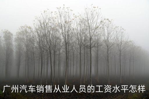 廣州汽車銷售從業(yè)人員的工資水平怎樣