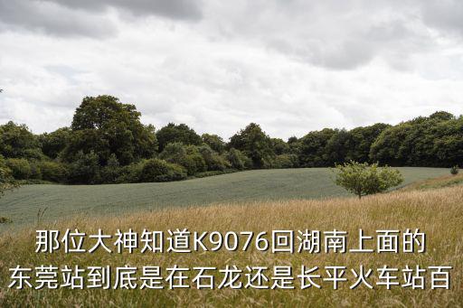 那位大神知道K9076回湖南上面的東莞站到底是在石龍還是長平火車站百