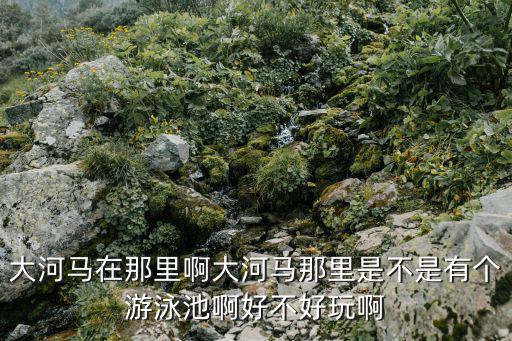 大河馬在那里啊大河馬那里是不是有個游泳池啊好不好玩啊
