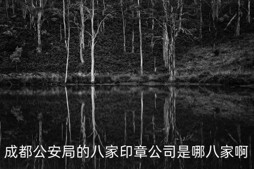 成都公安局的八家印章公司是哪八家啊