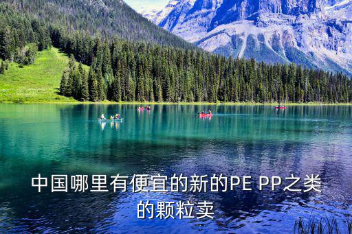 中國哪里有便宜的新的PE PP之類的顆粒賣
