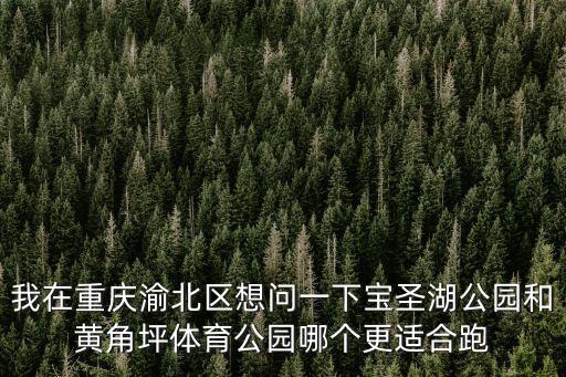 重慶市渝北區碧津公園撈起一具女尸，我在重慶渝北區想問一下寶圣湖公園和黃角坪體育公園哪個更適合跑