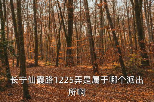 長寧仙霞路1225弄是屬于哪個派出所啊