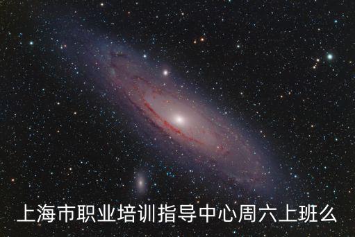 上海市職業培訓指導中心周六上班么