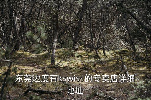 東莞邊度有kswiss的專賣店詳細(xì)地址
