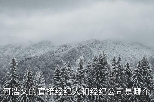 深圳市戴瑞文化傳播有限公司，文凱玲的經紀公司叫什么公司