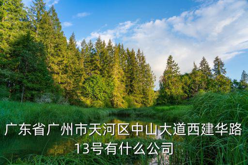 廣州柏韋實(shí)業(yè)有限公司，廣東省廣州市天河區(qū)中山大道西建華路13號有什么公司
