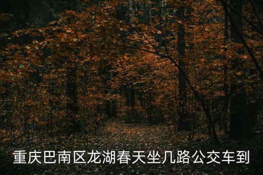 重慶巴南區龍湖春天坐幾路公交車到