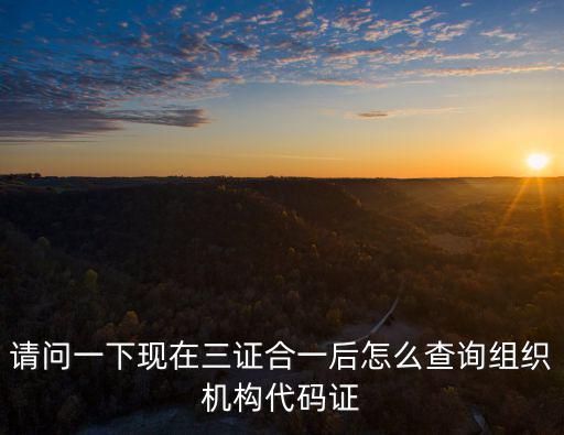 請(qǐng)問一下現(xiàn)在三證合一后怎么查詢組織機(jī)構(gòu)代碼證