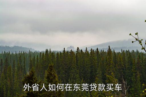 外省人如何在東莞貸款買車