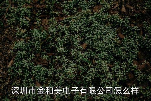深圳市金和美電子有限公司怎么樣