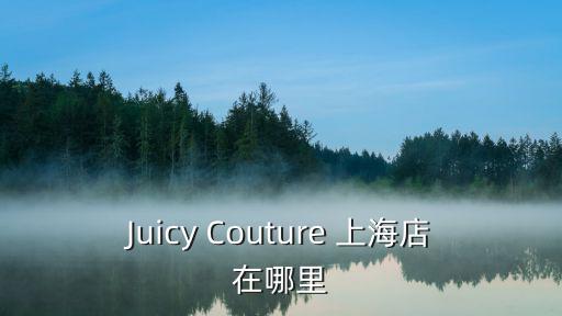 上海市揚琴店在哪里，Juicy Couture 上海店在哪里