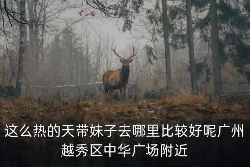 這么熱的天帶妹子去哪里比較好呢廣州越秀區中華廣場附近