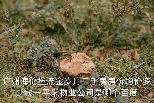 廣州海倫堡商管 電話，海倫堡寬塘雅院的小洋房朝向