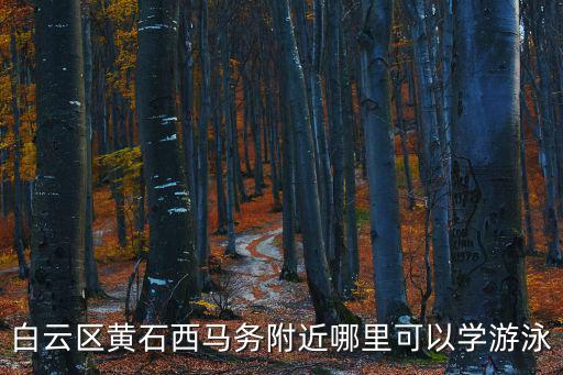 白云區黃石西馬務附近哪里可以學游泳