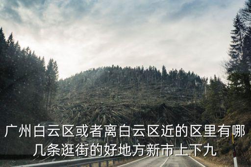 廣州白云區或者離白云區近的區里有哪幾條逛街的好地方新市上下九