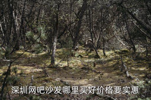深圳網(wǎng)吧沙發(fā)哪里買好價格要實惠