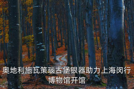 奧地利施瓦策瑙古堡銀器助力上海閔行博物館開(kāi)館