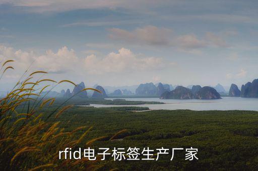 rfid電子標簽生產廠家