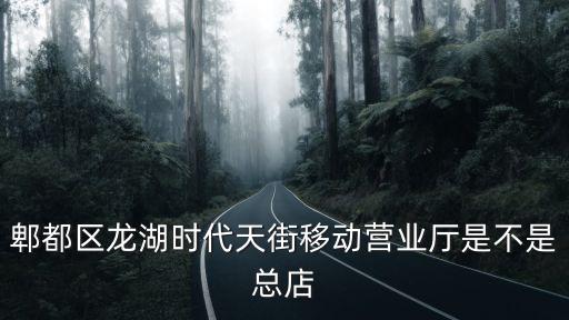 郫都區龍湖時代天街移動營業廳是不是總店
