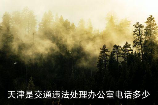 天津是交通違法處理辦公室電話多少