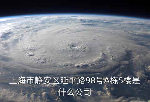 上海市靜安區延平路98號A棟5樓是什么公司