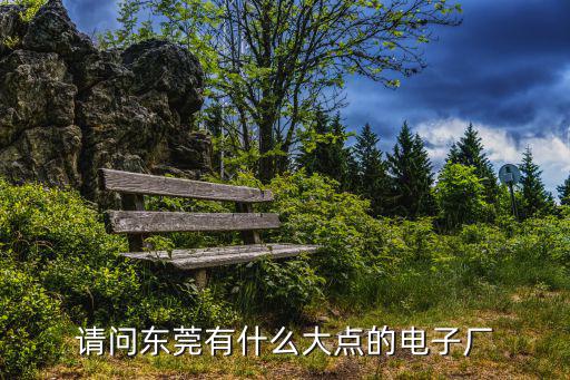 請問東莞有什么大點的電子廠