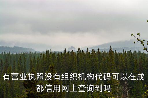 有營業執照沒有組織機構代碼可以在成都信用網上查詢到嗎