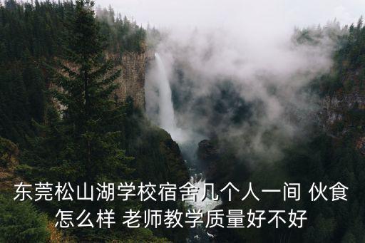 東莞松山湖學校宿舍幾個人一間 伙食怎么樣 老師教學質量好不好