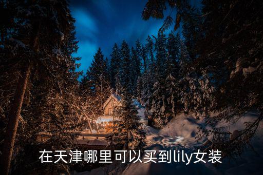 在天津哪里可以買到lily女裝