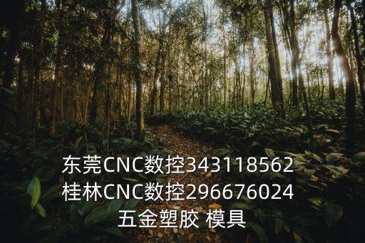 東莞CNC數控343118562 桂林CNC數控296676024 五金塑膠 模具