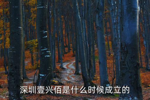 深圳壹興佰是什么時候成立的