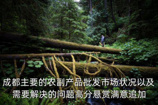 成都主要的農(nóng)副產(chǎn)品批發(fā)市場(chǎng)狀況以及需要解決的問(wèn)題高分懸賞滿意追加