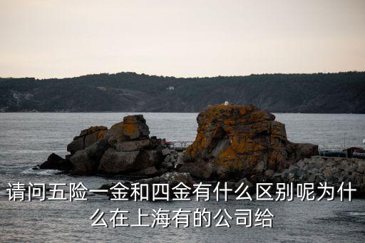 請問五險一金和四金有什么區別呢為什么在上海有的公司給