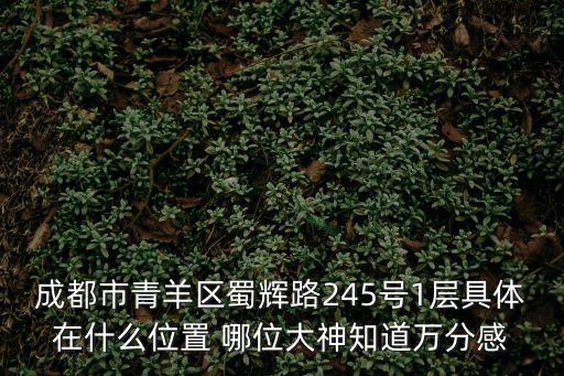 成都市青羊區(qū)蜀輝路245號1層具體在什么位置 哪位大神知道萬分感