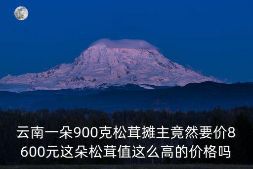 云南一朵900克松茸攤主竟然要價(jià)8600元這朵松茸值這么高的價(jià)格嗎