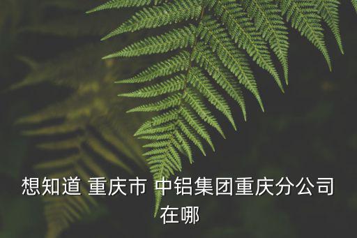 想知道 重慶市 中鋁集團重慶分公司 在哪